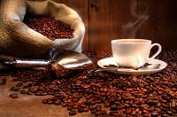 咖啡补肾，咖啡可以治疗胃病是真的吗