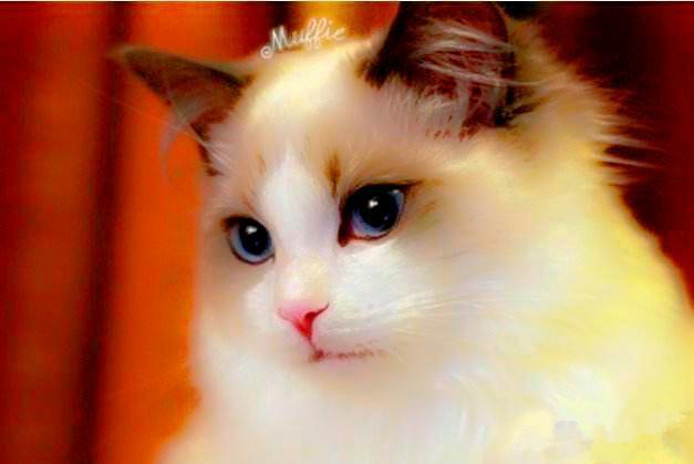 嫁给一个对我好，但是，我不喜欢的人会怎么样？-头条问答