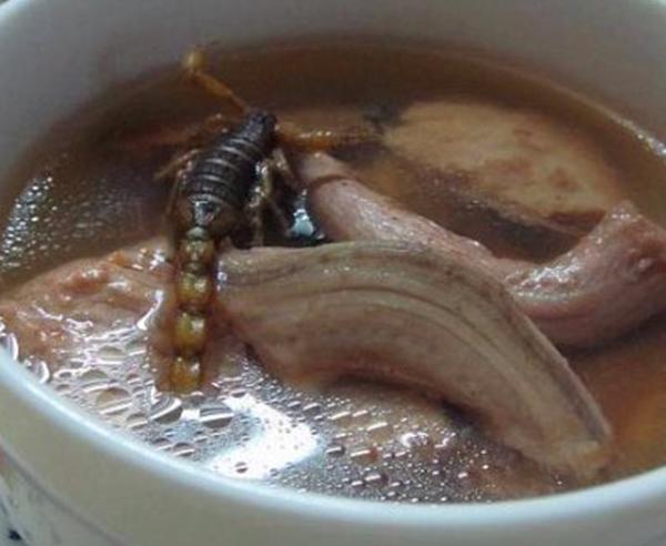 蛇汤的功效壮阳，粤式靓汤“水蛇蝎子汤”好喝吗真的是用蛇和蝎子熬制的吗