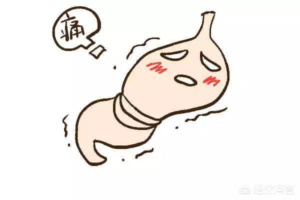 “十个胃病九个寒”,如何驱赶体内的胃寒呢？