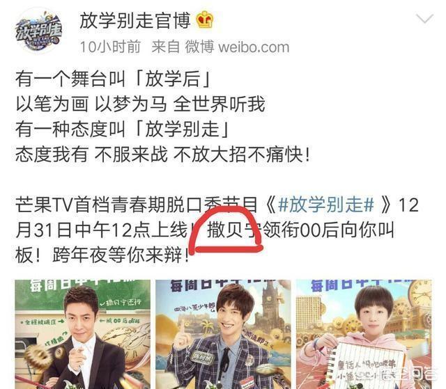 撒贝宁为什么退出央视:央视为什么要把撒贝宁放出来