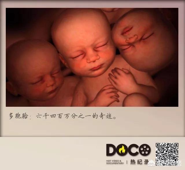 孕育生命纪录片bbc，看纪录片《生门》，有多少人不想生孩子