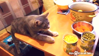 盐对于猫咪来说有用吗，猫咪能吃盐吗猫咪吃咸的食物好吗