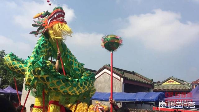 哥斯达黎加老虎尾凶不凶:哥斯达黎加老虎尾蜘蛛 手冲咖啡初学者选择什么咖啡豆入手？