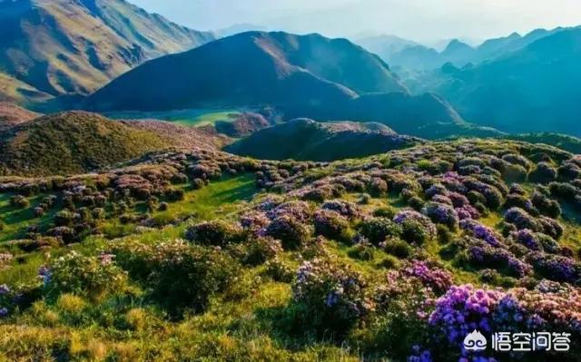 娘娘山海拔,贵州盘州市哪个景区最好玩？