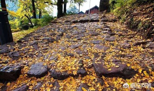 娘娘山海拔,贵州盘州市哪个景区最好玩？