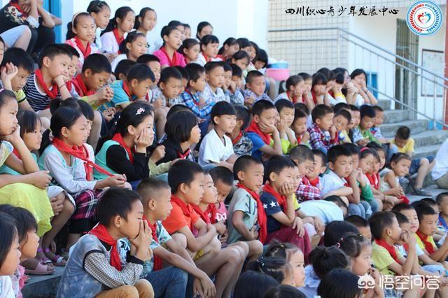 老母猪生小孩:车前草能不能用来喂母猪，哪位大神告诉我