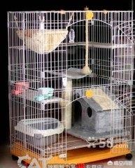 笼养猫的好处:养猫的好处和坏处 如何让一只猫心甘情愿的呆在笼子里？