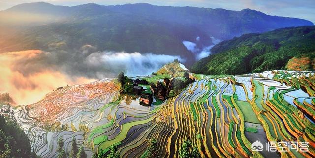 观鸟大年海报:贵州有哪些免门票又很值得一去的景点？