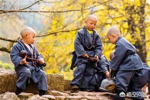 观鸟大年海报:贵州有哪些免门票又很值得一去的景点？