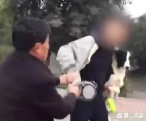 玉林狗贩虐狗逼爱狗者不买就夹死:最近养狗问题频出，是大众整体素质不高，还是养狗者自身的问题？ 玉林虐狗事件最新消息