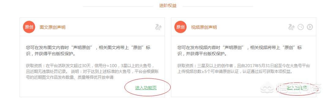大鱼号原创视频申请如何能快速通过？