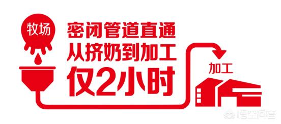 婴儿奶粉哪个牌子好,怎么从众多品牌中选出合适的？