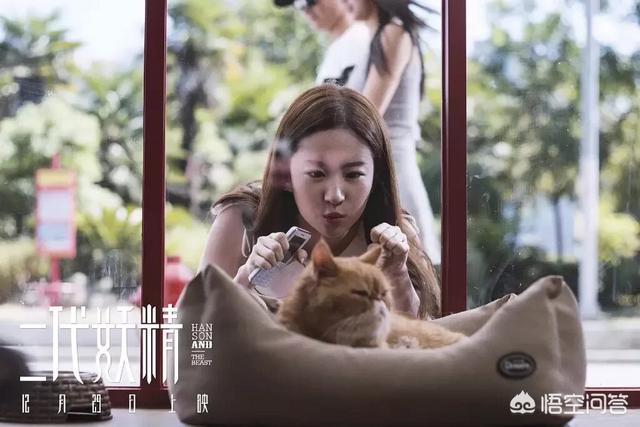 画皮2简介:画皮2里头的雀儿是什么鸟还是鹦鹉什么品种的？