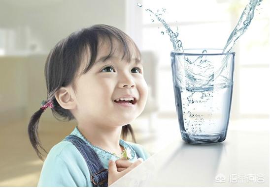 天津滨海獒园超标后代:你相信净水器的净水功能么？