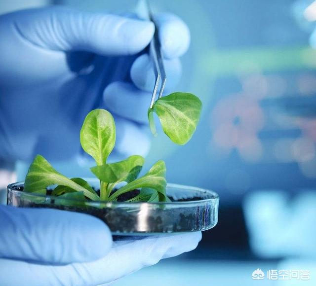 浙江大學的農業學科為什么這么厲害