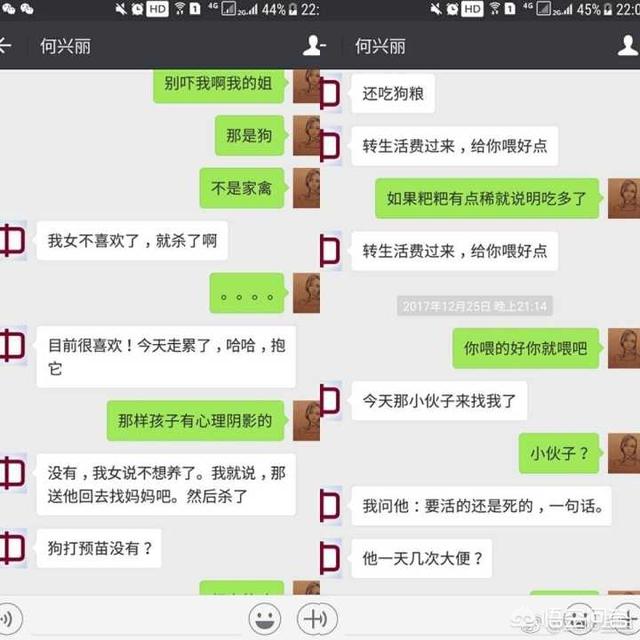 教师卖房养流浪狗感动网友:两年前出于人道主义收留了一只小土狗，现在不想养了怎么办？