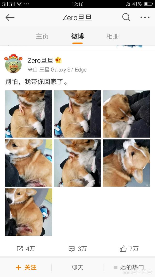 男子摔狗事件:如何看待成都某教师捡狗索酬不成摔狗一事？ 成都摔狗事件