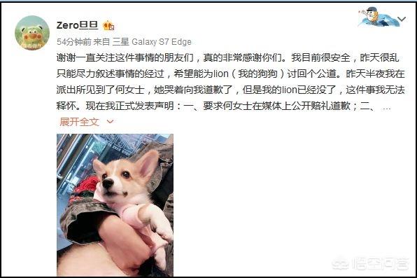 教师卖房养流浪狗感动网友:如何看待据传四川师老师摔死捡到的狗一事？