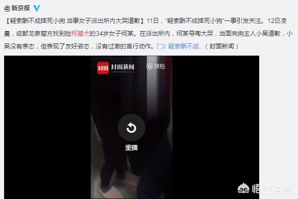 摔死柯基的何兴丽 黑料:如何看待成都某教师捡狗索酬不成摔狗一事？