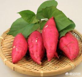 王婆卖瓜:用王婆卖瓜自卖自夸造句，要好笑？