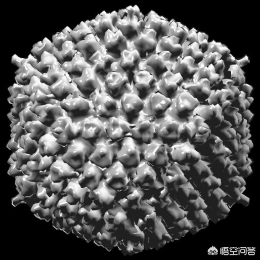 hpv疫苗适合什么年龄:26岁以上的人能打HPV疫苗吗？有哪些利弊？