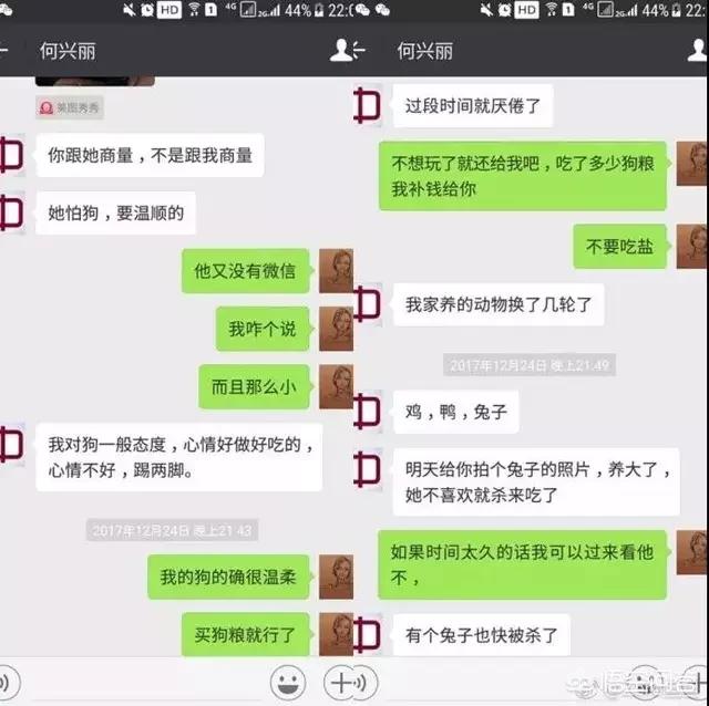 摔狗事件后续:宁波摔手机事件的后续怎么样了？