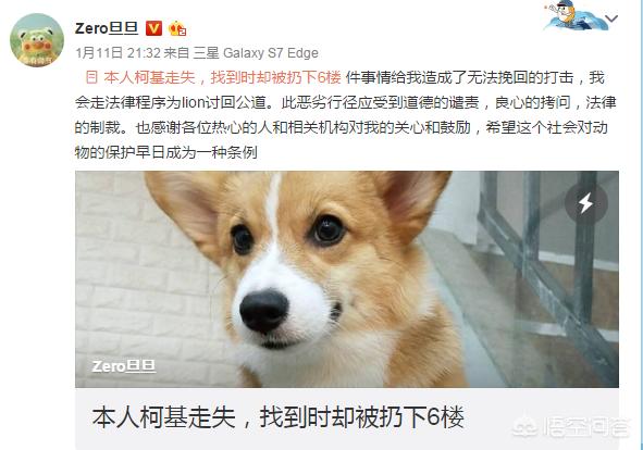 南京 童先生 摔狗:婴儿被狗撞残，狗主人拒赔被拘留15天，又是狗祸！你怎么看？