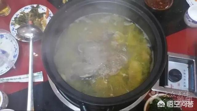 福原爱宠物医院嘉州:你喜欢有点笨笨的、做饭很好吃、心地很善良的女孩吗？ 福原爱宠物医院嘉州路
