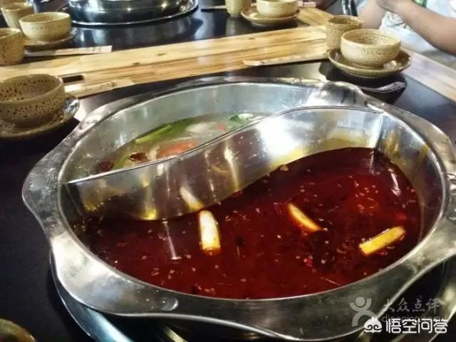 福原爱宠物医院嘉州:你喜欢有点笨笨的、做饭很好吃、心地很善良的女孩吗？ 福原爱宠物医院嘉州路