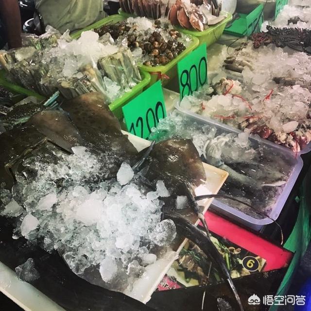 侏儒眼镜猴在印尼重现:侏儒眼镜猴又出现了吗 为什么每次王一梅总准备复出，辽宁队的比赛总看不到她？
