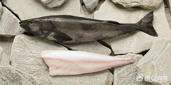 鳕鱼含有的蛋白质有多高，银鳕鱼重金属含量高不适合给孕妇和儿童吃吗