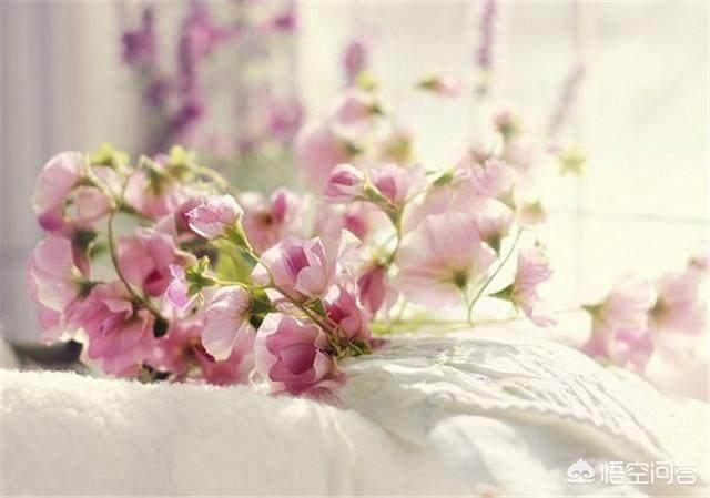 感概<a href=https://maguai.com/list/55-0-0.html target=_blank class=infotextkey>生活</a>的句子图片:2018感悟<a href=https://maguai.com/list/55-0-0.html target=_blank class=infotextkey>生活</a>经典句子有哪些？