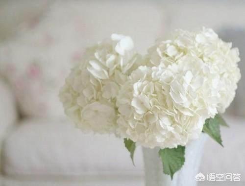感概<a href=https://maguai.com/list/55-0-0.html target=_blank class=infotextkey>生活</a>的句子图片:2018感悟<a href=https://maguai.com/list/55-0-0.html target=_blank class=infotextkey>生活</a>经典句子有哪些？