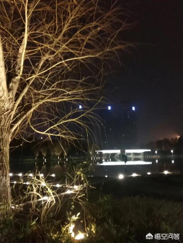 无锡樱花节:去无锡旅游哪些景点值得推荐
