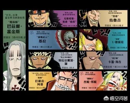 海贼王中悬赏金的意义为何？