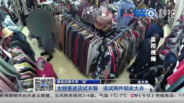 淡然的图片:怎样看待青岛“淡定姐”顺手牵“貂”？