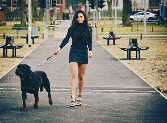 出售纯种泰皇脊背犬:什么大型犬颜值高还护主？