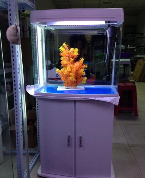 宠物鱼缸:想养宠物热带鱼，家里空间有限，水族箱如何安置？