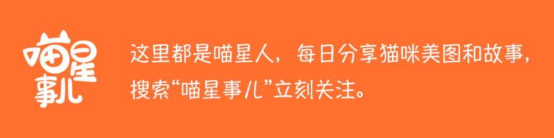 中国土狗凶猛吗:为什么很多人都讨厌中华田园犬？