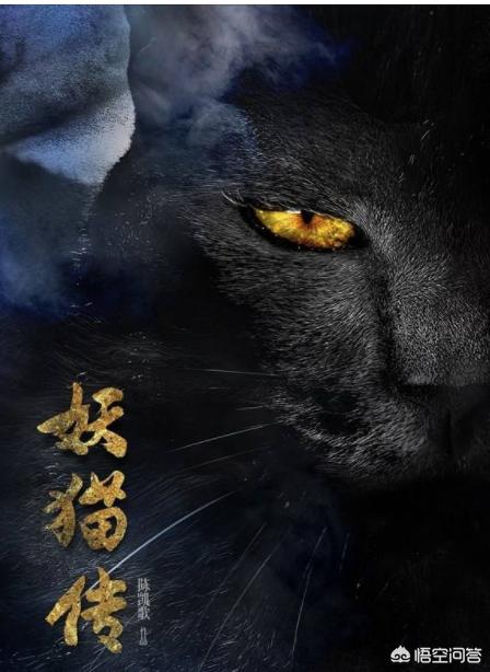 古代猫在哪个国家内受到严格保护:中国历代皇帝里有猫奴吗？