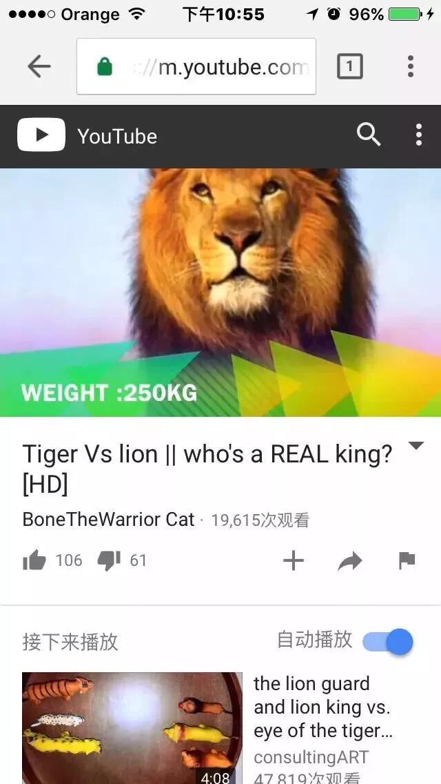 世界上体型最大的猫科动物是:老虎和狮子到底谁是最大猫科动物？