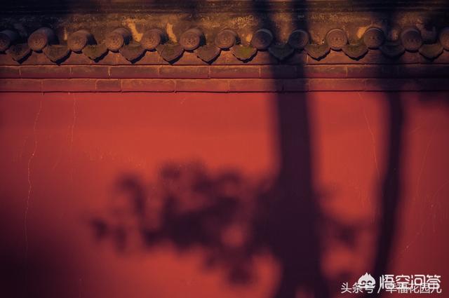 皇宫重地灵异事件:为什么有人说在故宫不能随便拍照？