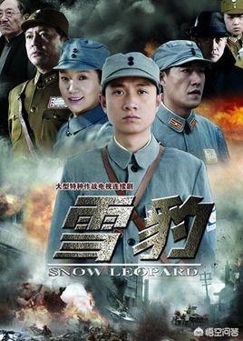 铁血玫瑰剧情:有哪些跟《亮剑》、《东风破》差不多的抗日电视剧
