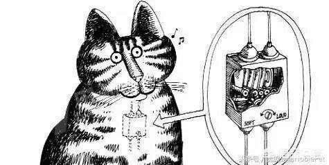 泰迪狗割声带:朋友坚持给猫割声带怎么办？
