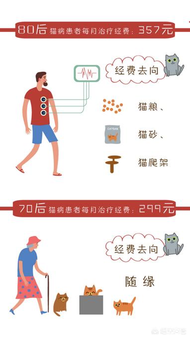 哈瓦那猫市场价格多少:买猫咪要注意什么，哪些猫咪不能买？