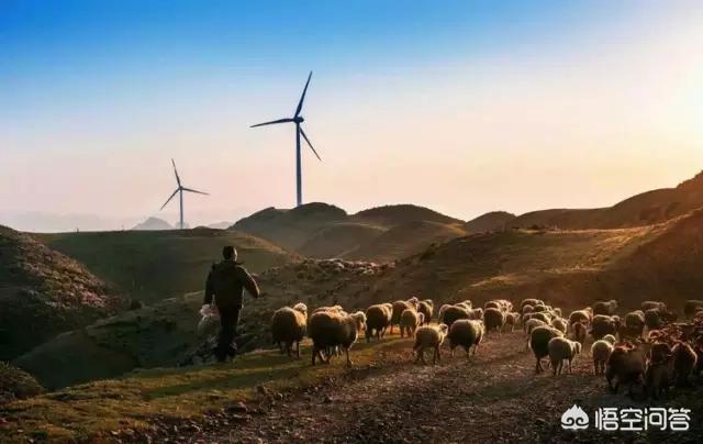 娘娘山海拔,贵州盘州市哪个景区最好玩？