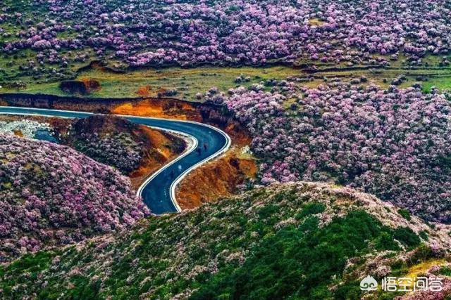 娘娘山海拔,贵州盘州市哪个景区最好玩？