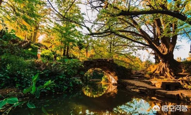 娘娘山海拔,贵州盘州市哪个景区最好玩？