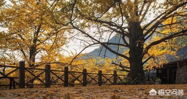 娘娘山海拔,贵州盘州市哪个景区最好玩？